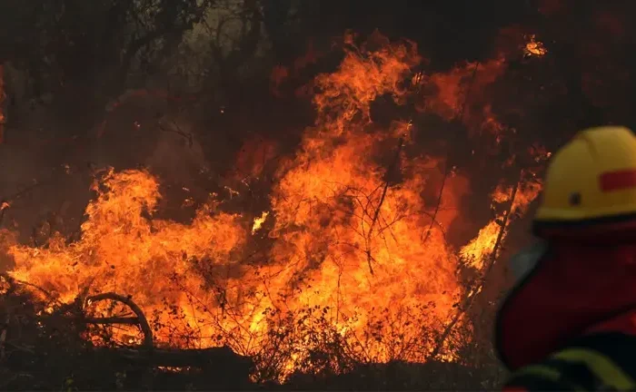 Bolivia Declares National Emergency Due to Widespread Forest Fires