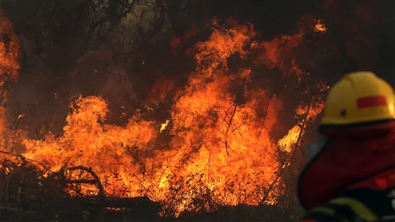 Bolivia Declares National Emergency Due to Widespread Forest Fires