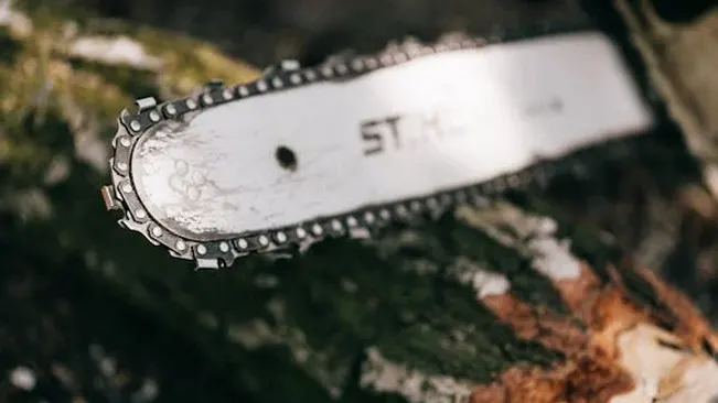 Close-up of a Stihl chainsaw bar and chain resting on a tree trunk