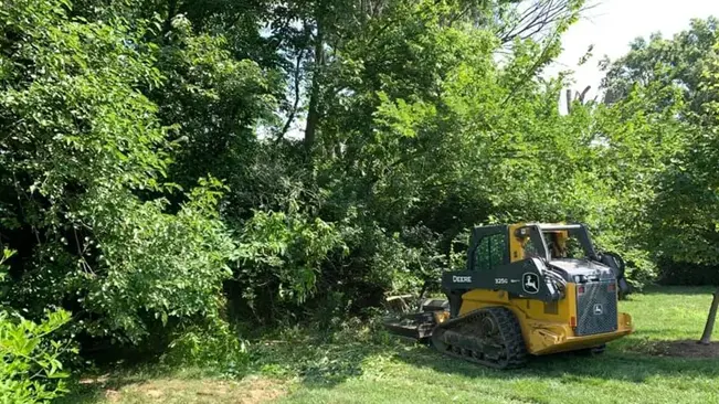 Clearing Brush and Shrubs