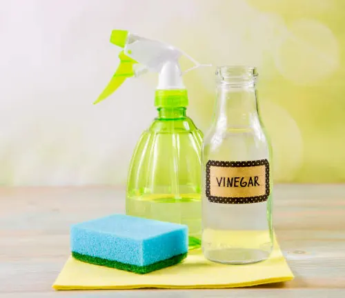 Natural cleaning set with vinegar spray bottle, sponge, and cloth on table.