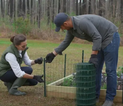 Two people installing a wire fence around a raised vegetable garden bed outdoors.