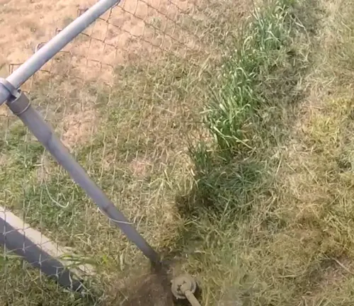 Trimming weeds along a chain-link fence to maintain a clean and neat yard.