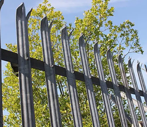 A spiked metal security fence with vertical bars in front of green trees.