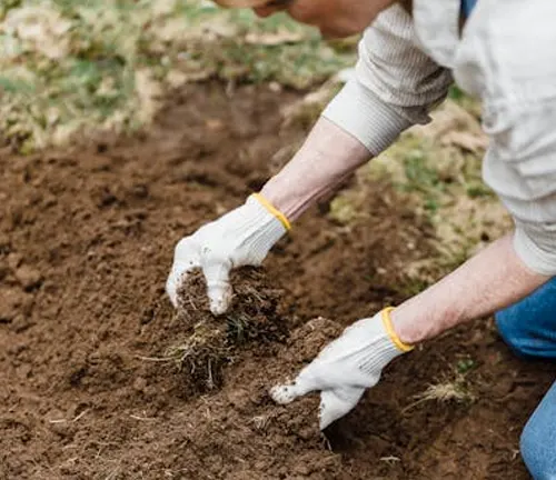 Person preparing soil by hand, wearing gloves, ensuring proper soil conditions for planting.