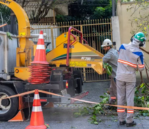 Professional forester operating machinery to clear branches during a tree maintenance project.