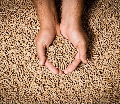 Hands holding a pile of compressed wood pellets used as renewable energy fuel.