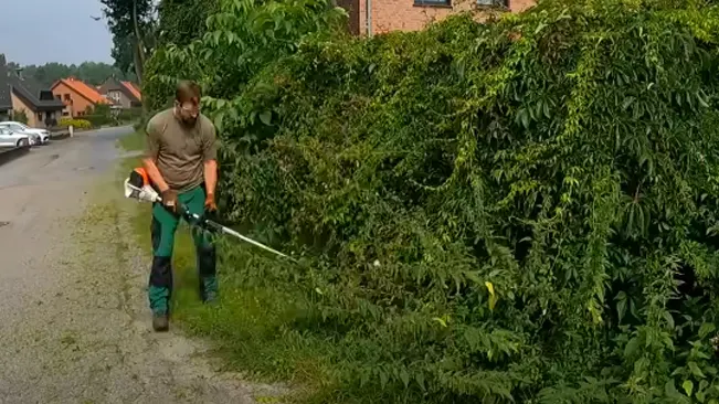 Man using a trimmer to cut overgrown weeds along a fence in a yard.