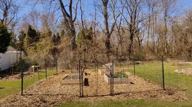 A fenced vegetable garden with raised beds, surrounded by trees and natural landscape.