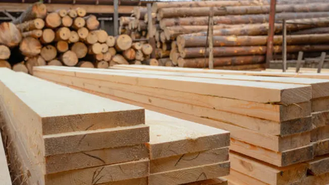 Graded softwood lumber stacked at a sawmill with logs in the background for processing.