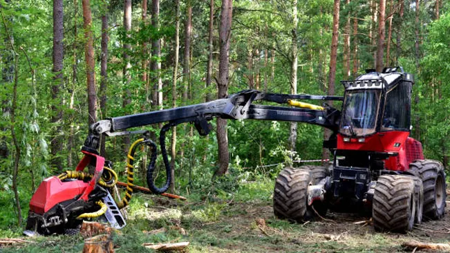 Logging machinery in use during timber harvesting, adhering to forestry regulations and environmental guidelines.