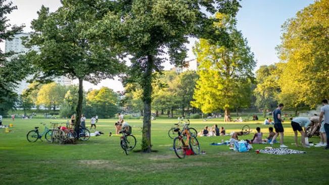 Urban park with people enjoying green spaces, highlighting the benefits of urban forestry.