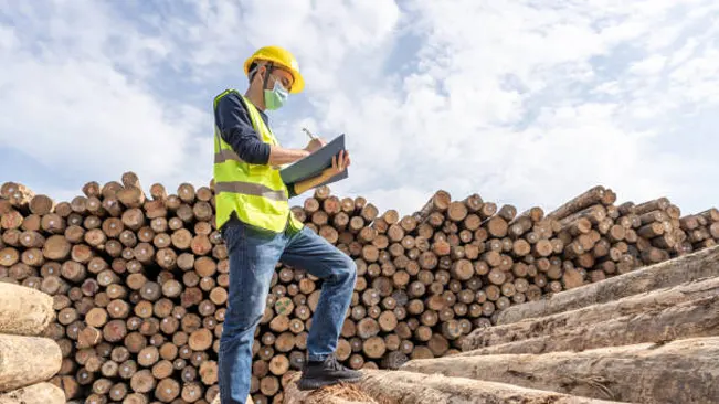 A person in protective gear and a safety vest examines timber logs with a clipboard, analyzing market trends.