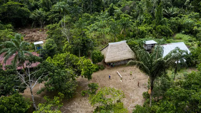 Aerial view of a rural village surrounded by lush forest, emphasizing local sustainability.