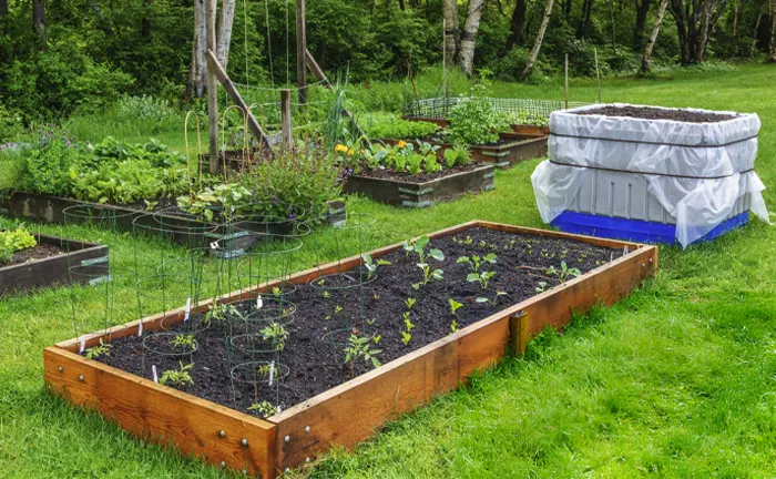 Crucial Planting Tips for a Successful Raised Bed Garden