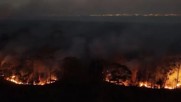 Devastating Wildfire Consumes 20% of Brasilia National Forest; Arson Investigated