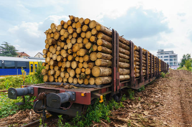 t: "A train car loaded with large, neatly stacked timber logs is parked on a track in an industrial area, ready for transport. A passenger train is visible in the background."
