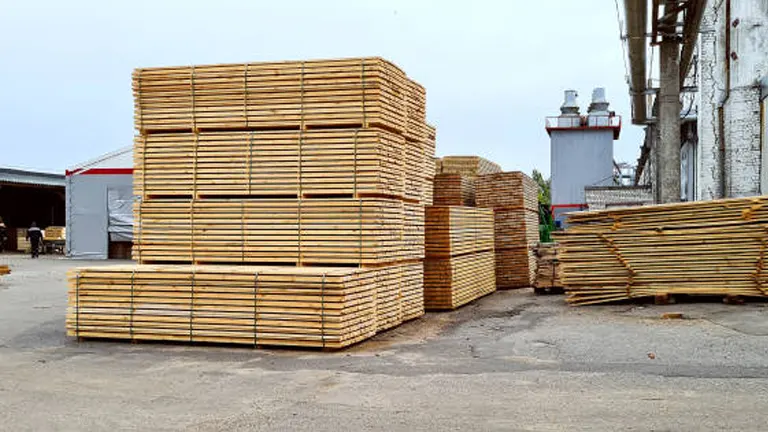 Softwood Lumber Grading: What You Need to Know