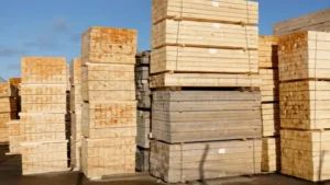 How to Maximize Timber Yield with Proper Lumber Grading featured image