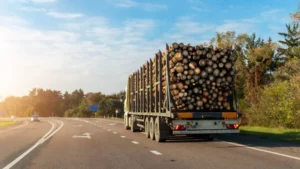 How To Optimize Timber Harvest Value? featured image