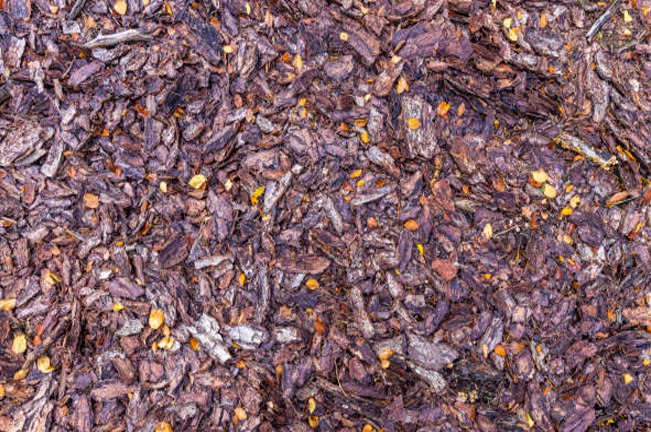 "A close-up view of brown bark mulch spread on the ground, commonly used in landscaping and gardening to retain soil moisture, regulate temperature, and prevent weed growth."