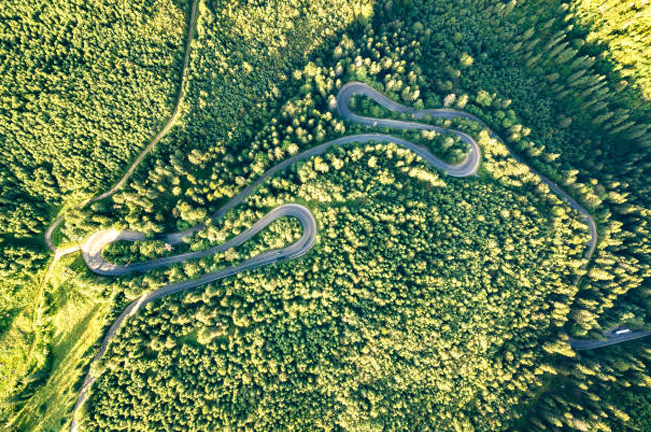 An aerial view of a winding road cutting through a lush, dense forest, illustrating the challenge of designing road networks that minimize environmental impact.