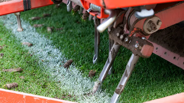 How to Aerate Your Lawn