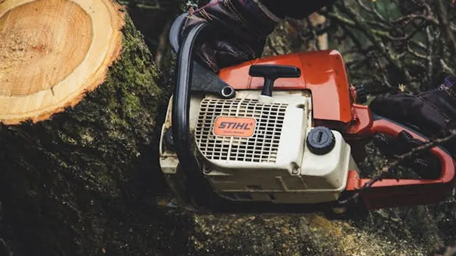 Stihl chainsaw to cut a tree trunk.