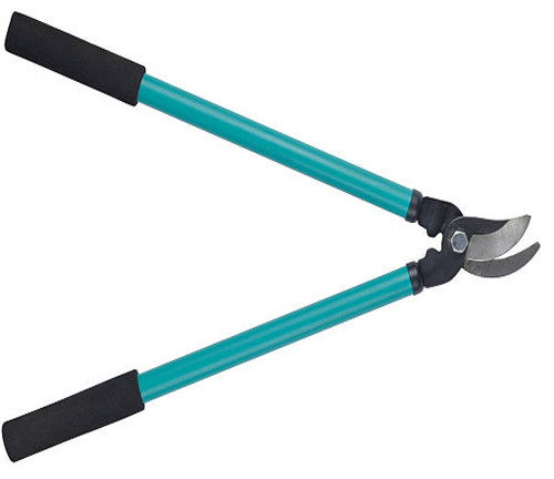 A pair of garden loppers with teal handles, designed for cutting thick branches during tree pruning. These essential pruning tools help maintain tree health by removing unwanted growth.