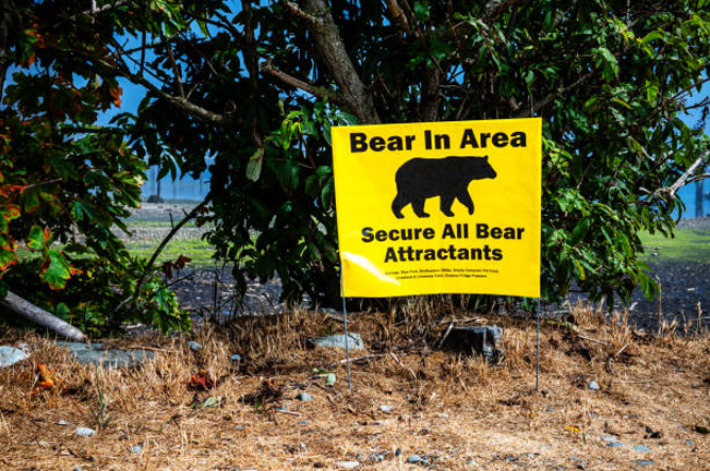 A bright yellow sign reading 'Bear In Area, Secure All Bear Attractants' posted near bushes and dry grass, warning of wildlife presence and encouraging safety precautions.