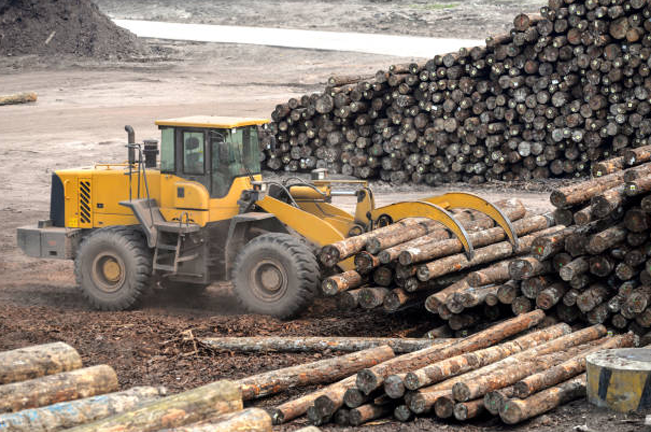 A yellow wheel loader equipped with a log grapple moves and stacks large timber logs in a lumber yard, surrounded by piles of logs, preparing them for processing or transport