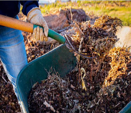 A person uses a pitchfork to transfer organic mulch material into a wheelbarrow, demonstrating composting or soil enrichment practices in an outdoor environment.