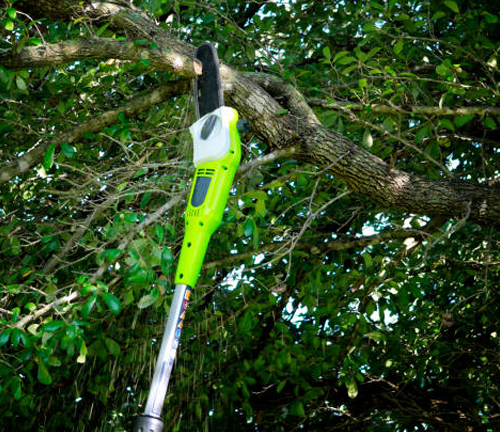 An electric pole saw is used to prune a large tree branch, demonstrating safe and efficient pruning of high branches to improve tree structure and promote healthier growth in dense foliage.