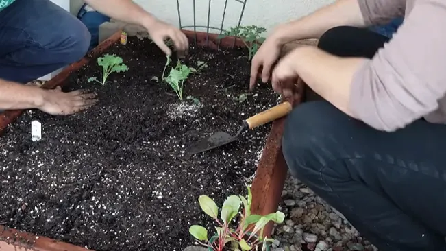 How Deep Should Your Raised Garden Be