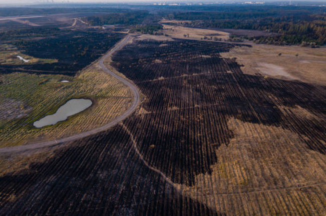 Aerial view of a large, scorched landscape with charred earth and a small pond, showing the aftermath of a wildfire in a forested area, highlighting the extent of the damage.