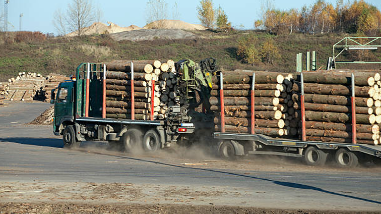 Skidding and Hauling: Transporting Timber to Mills