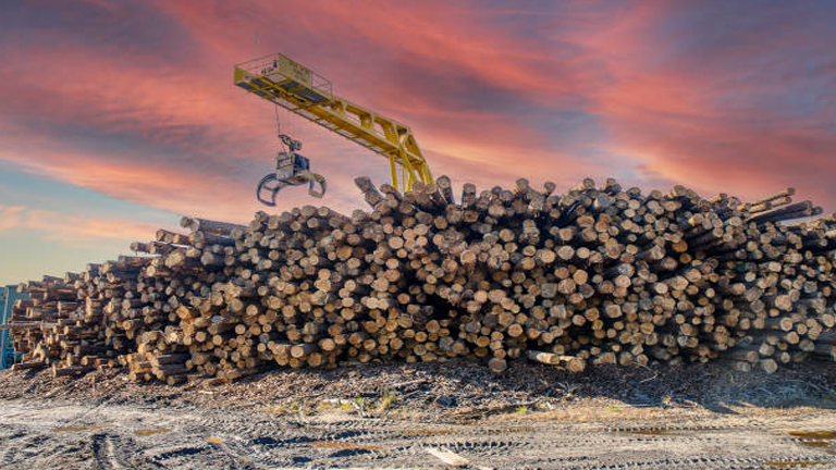 A large stack of logs is being moved by a crane at a timber processing site under a vibrant sunset sky, highlighting the scale of logging operations in the forestry industry.