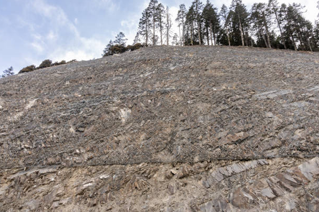 A steep, rocky slope shows significant soil erosion, with sparse vegetation at the top, highlighting the challenges of erosion control in forested areas.