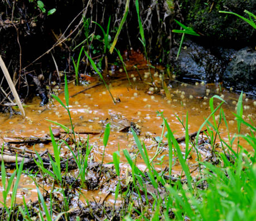 Close-up of a patch of soil and water contaminated by orange-colored rust or minerals, surrounded by grass and vegetation. The scene highlights soil pollution and potential runoff issues.