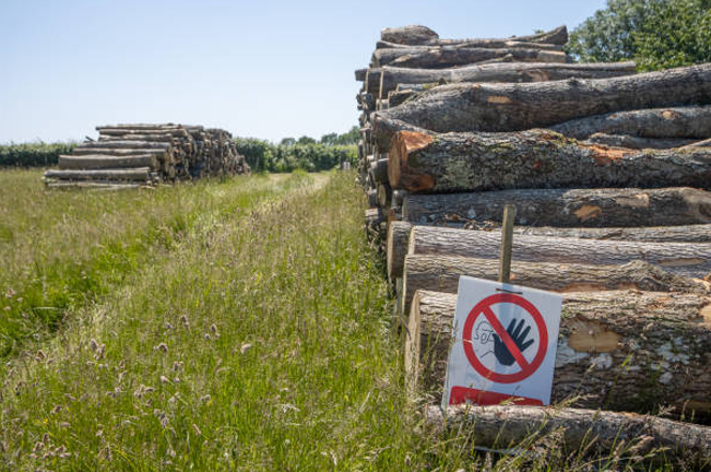 Stacks of cut logs on grassy land with a warning sign in the foreground, cautioning against touching the timber, highlighting safety measures in logging areas.