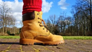 The Best Forestry Boots