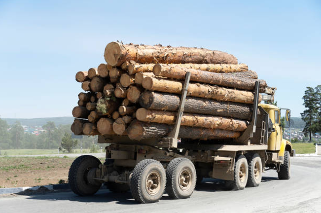 "A loaded logging truck carrying large timber logs secured on its flatbed drives on a road. The vehicle is transporting logs from a forested area visible in the background."