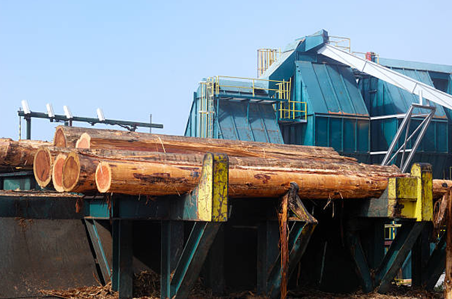 Logs prepared for processing at an industrial timber facility, showing large cut timber pieces on metal machinery, ready for further treatment in the lumber production process.