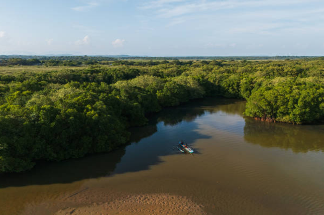 An aerial view of a lush, green forest surrounding a calm river, with a small boat navigating the water, showcasing the serene beauty and ecological importance of well-preserved watersheds.