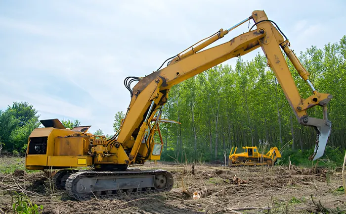 Things to Know Before Land Clearing for Development