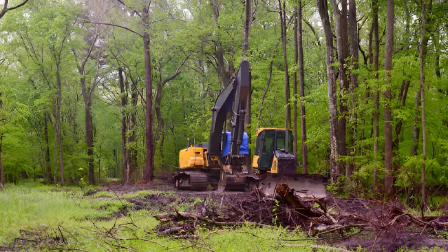 Tree Removal