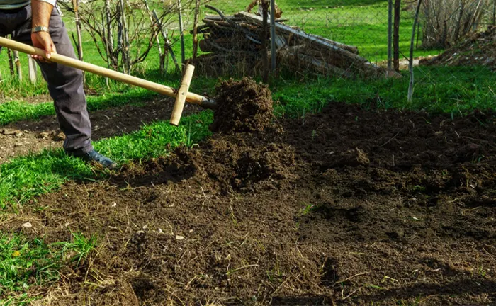 How To Turn Your Lawn Into A Vegetable Garden