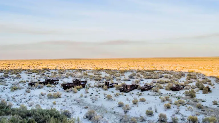 Uzbekistan Launches Tree Planting Project on the Former Aral Sea Bed