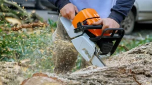 What Size Chainsaw Do I Need?