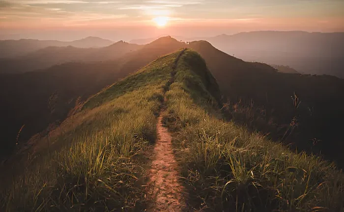 How to Set Up a Forest Trail for Hiking